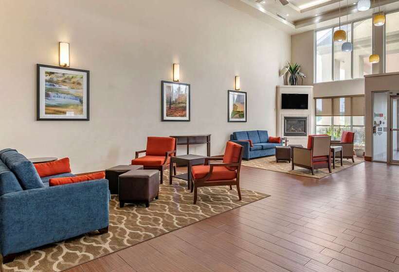 酒店 Comfort Suites North