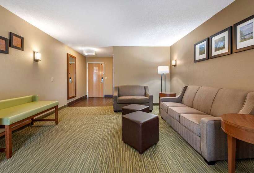 酒店 Comfort Suites North