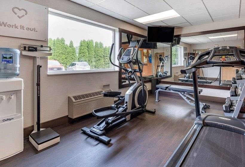 酒店 Comfort Suites North