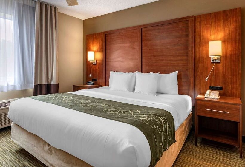 酒店 Comfort Suites North