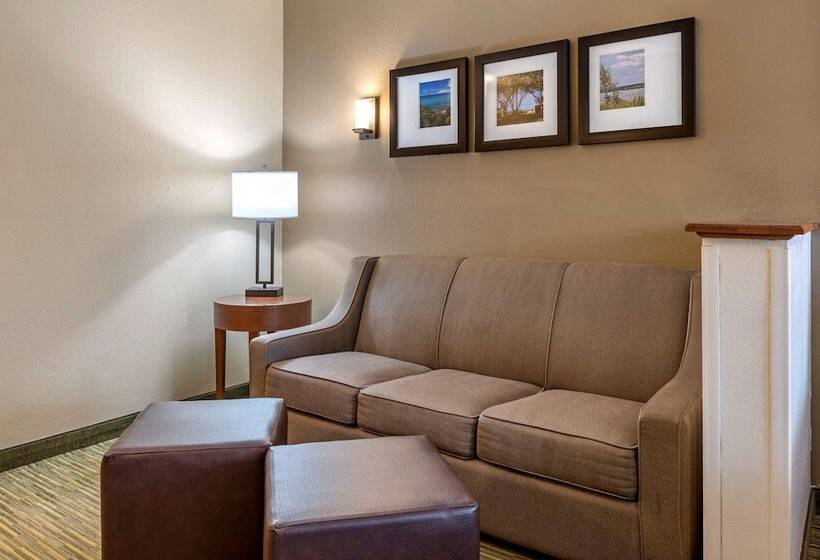 酒店 Comfort Suites North