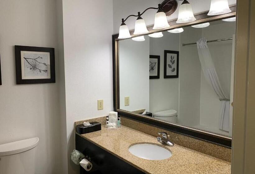 هتل Country Inn & Suites By Radisson, Georgetown, Ky