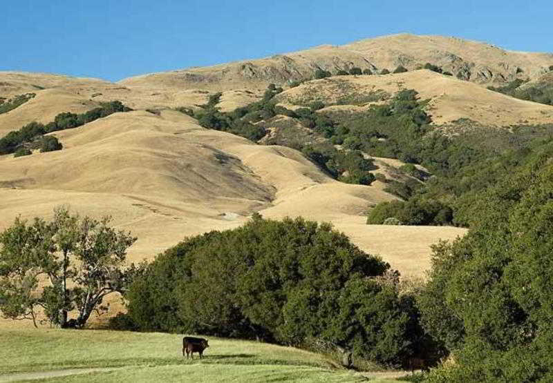 호텔 Courtyard By Marriott Newark Silicon Valley