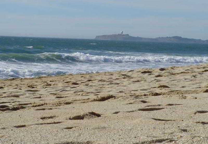 호텔 Courtyard By Marriott Newark Silicon Valley