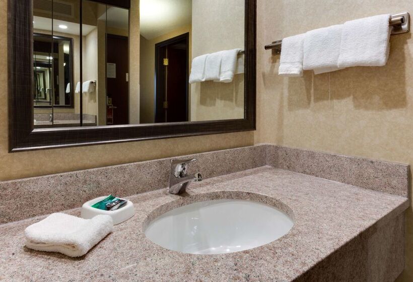 هتل Drury Inn & Suites Birmingham Grandview