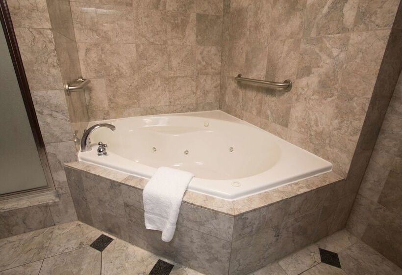 Drury Plaza Hotel New Orleans