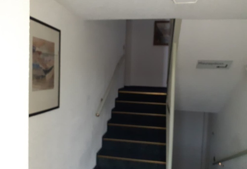 ホテル Edit Pension Rossau