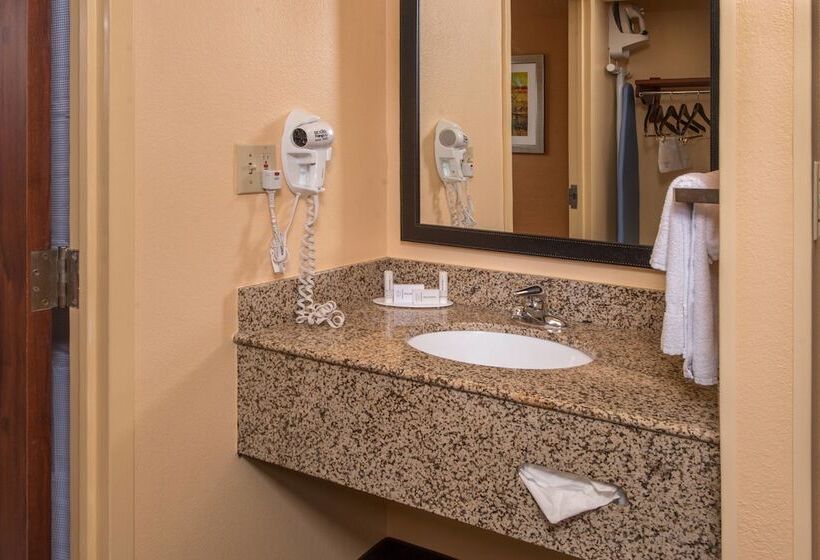 בית מלון כפרי Fairfield Inn Dulles Airport Chantilly