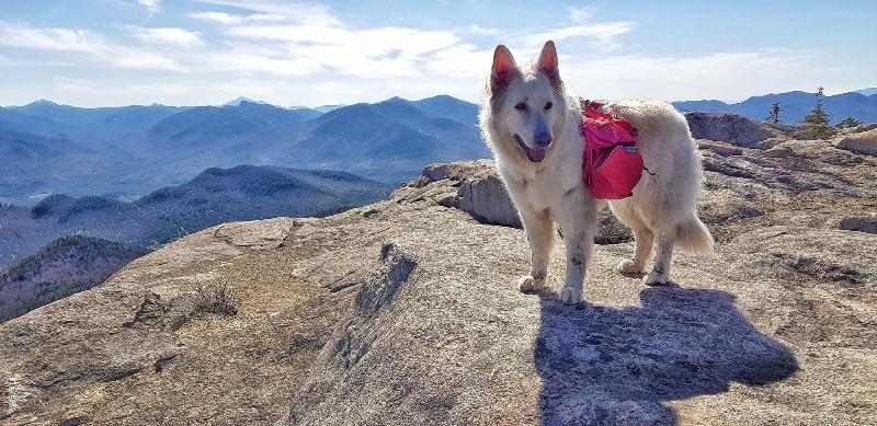 Grand Adirondack Hotel, Lake Placid, A Tribute Portfolio