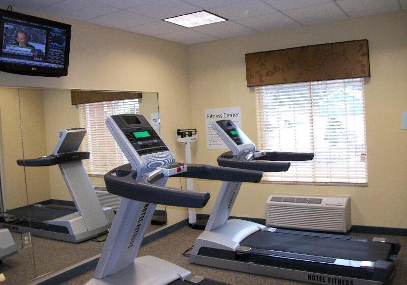 ホテル Holiday Inn Express   Cortland, An Ihg