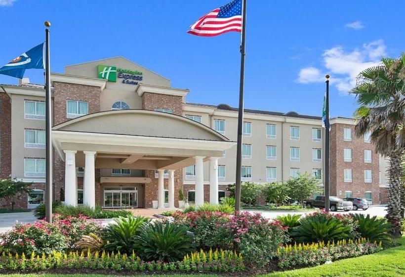 فندق Holiday Inn Express & Suites Gonzales By Ihg