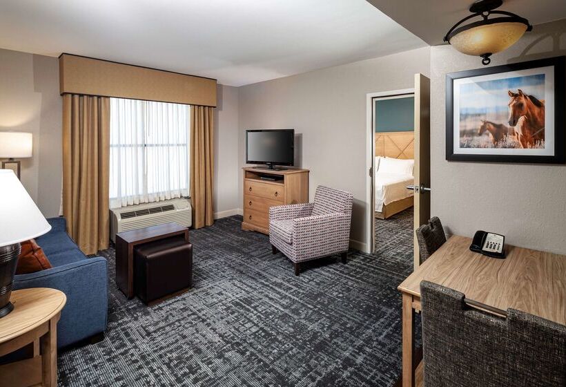 호텔 Homewood Suites By Hilton Austin/round Rock, Tx