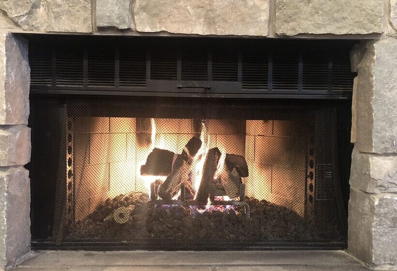 هتل Ivy Court Inn And Suites