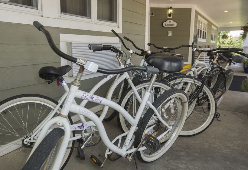 هتل Ivy Court Inn And Suites