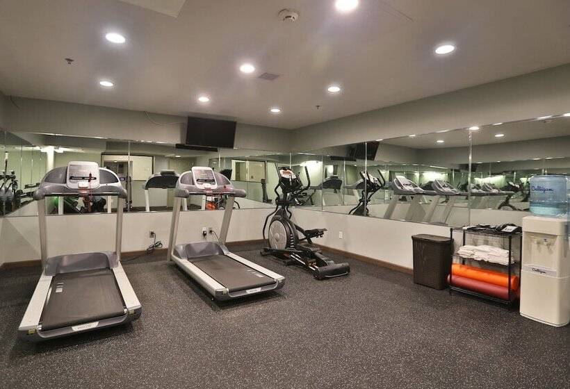 هتل Ivy Court Inn And Suites