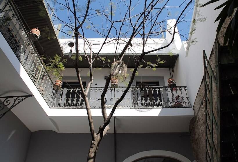 בית מלון כפרי Kuku Ruku