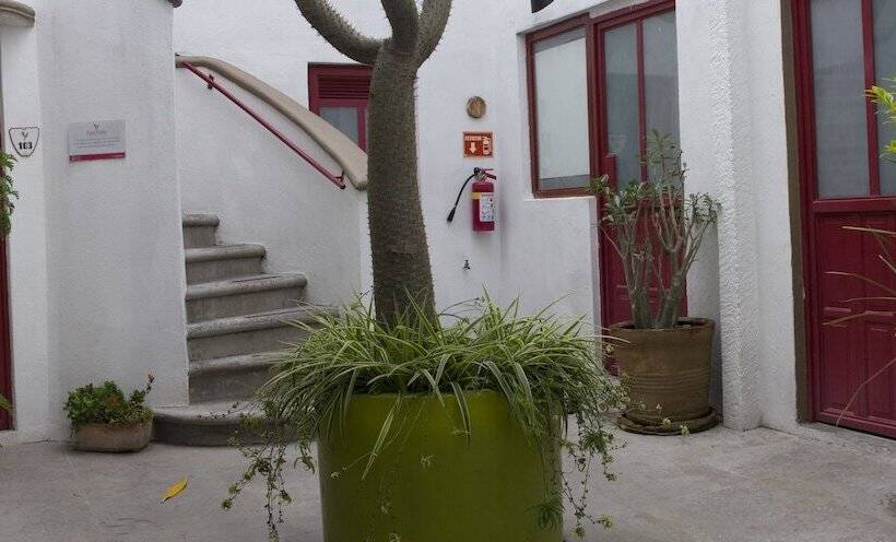 בית מלון כפרי Kuku Ruku