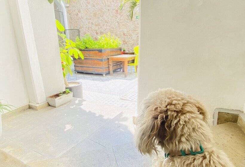 בית מלון כפרי Kuku Ruku