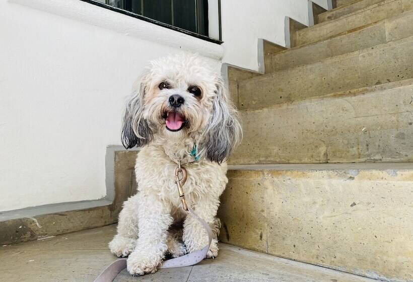 בית מלון כפרי Kuku Ruku