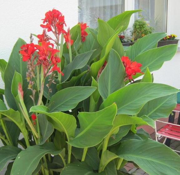 酒店 Landhaus Nassau