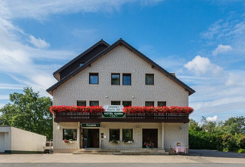 호텔 Lohmann's Kapeller Hof