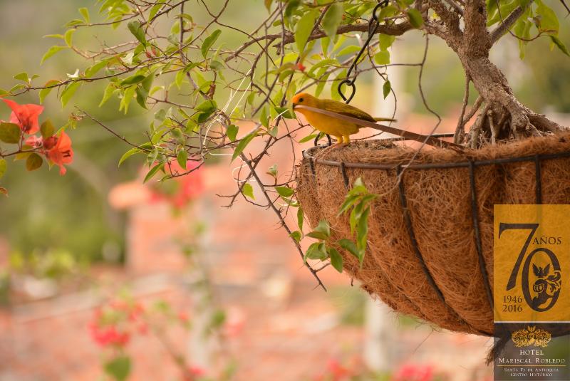 호텔 Mariscal Robledo