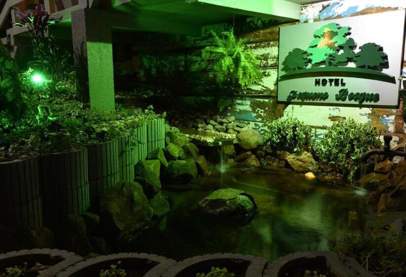 Отель Pequeno Bosque