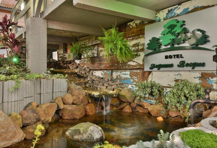 Отель Pequeno Bosque