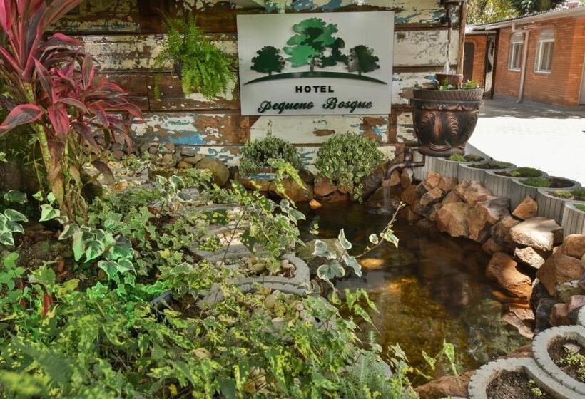 Отель Pequeno Bosque