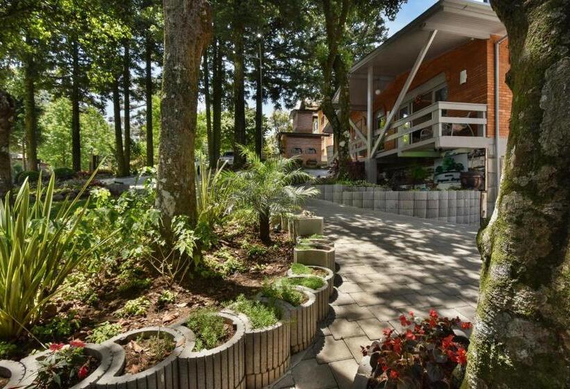 Отель Pequeno Bosque