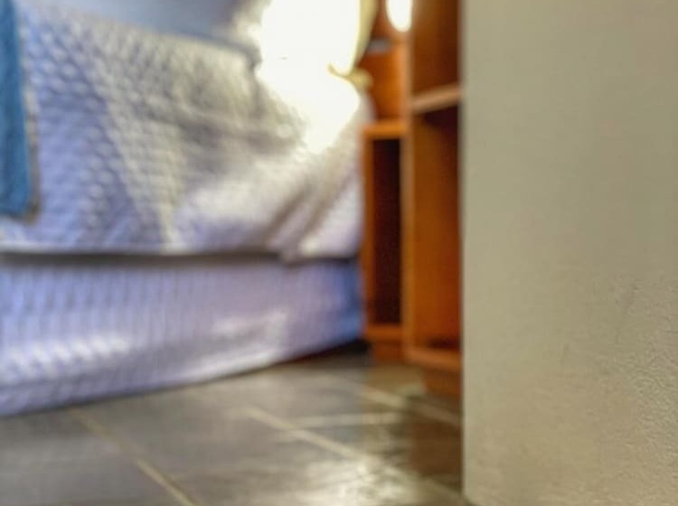 ホテル Pousada Flor De Canela