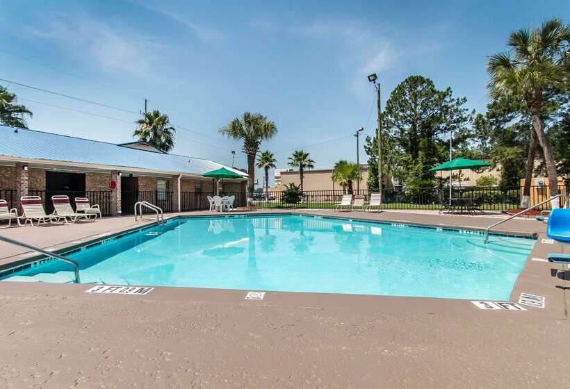 فندق Quality Inn Hinesville   Fort Stewart Area, Kitchenette Rooms   Pool   Guest Laundry