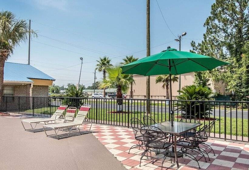 בית מלון כפרי Quality Inn Hinesville   Fort Stewart Area, Kitchenette Rooms   Pool   Guest Laundry