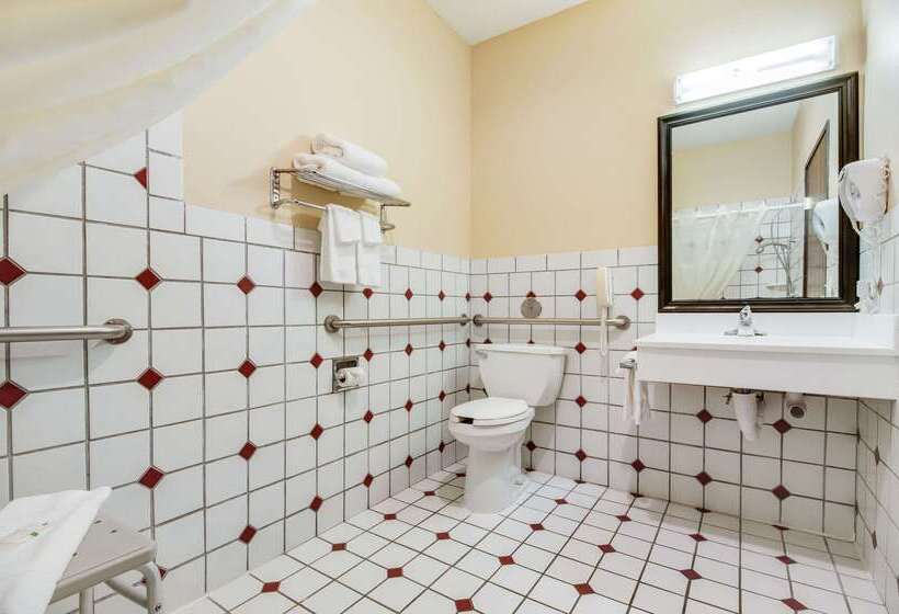 Отель Quality Inn & Suites