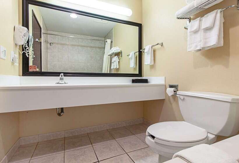 Отель Quality Inn & Suites