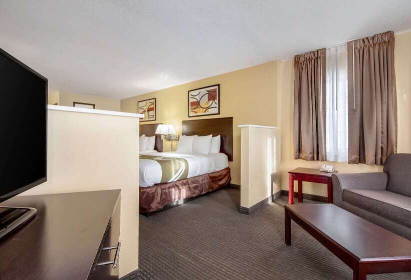 Отель Quality Inn & Suites