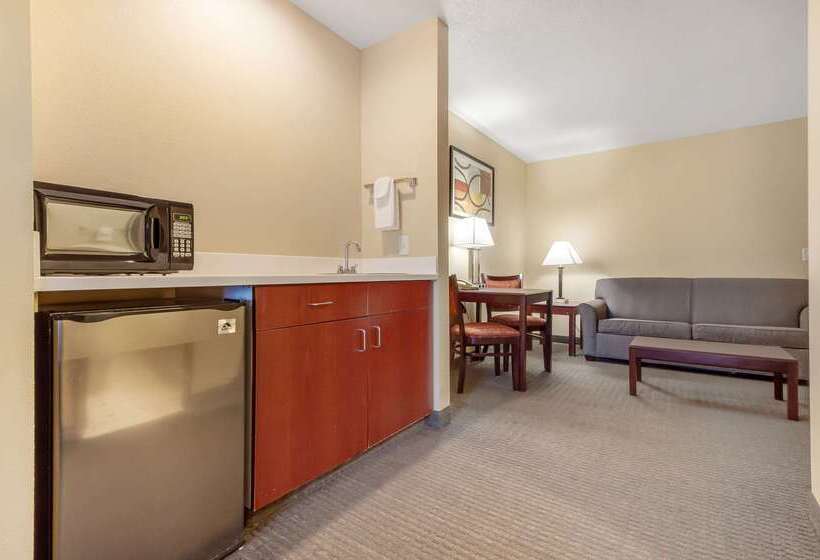 Отель Quality Inn & Suites