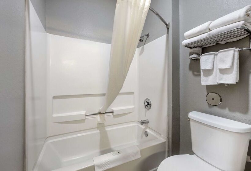 Отель Quality Inn & Suites