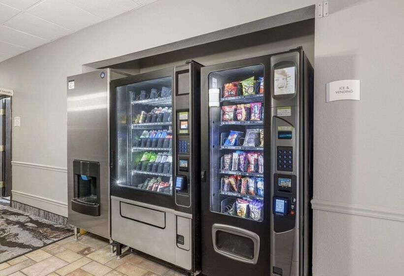 Отель Quality Inn & Suites