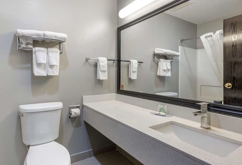 Отель Quality Inn & Suites