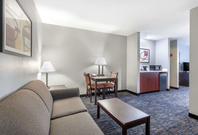 Отель Quality Inn & Suites