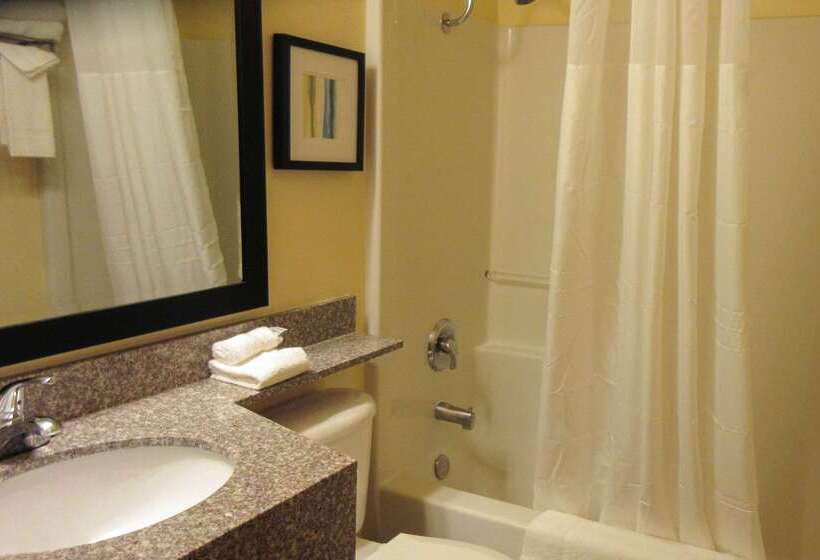 Отель Quality Inn & Suites Near Nas Fallon