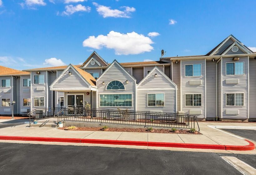 Отель Quality Inn & Suites Near Nas Fallon