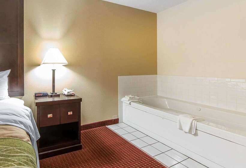 فندق Quality Inn & Suites