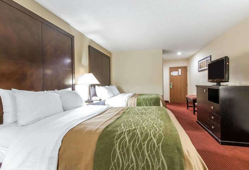 فندق Quality Inn & Suites