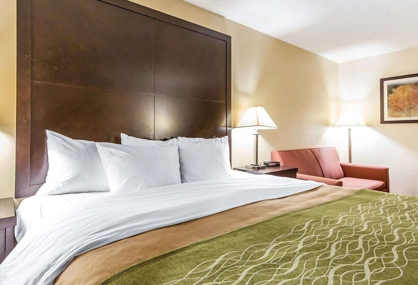 فندق Quality Inn & Suites