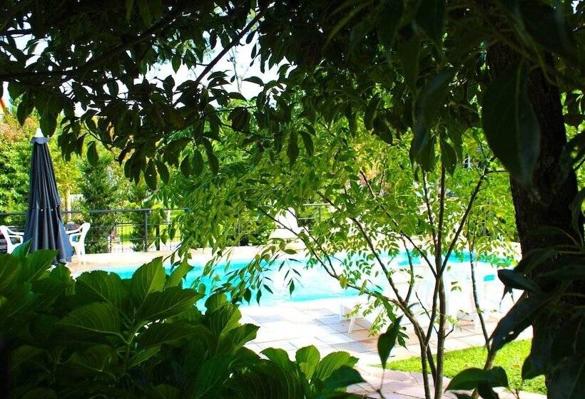 Отель San Lucas