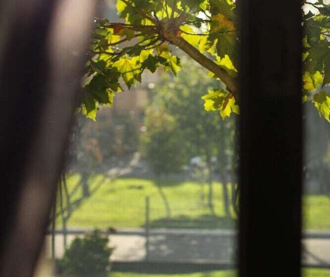 Отель San Lucas