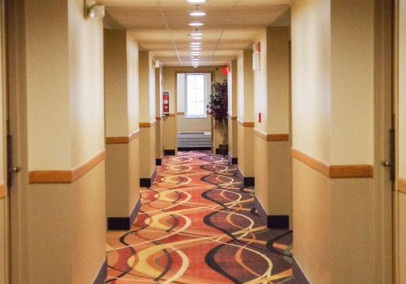 호텔 Dutch Inn And Suites