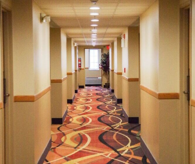 호텔 Dutch Inn And Suites